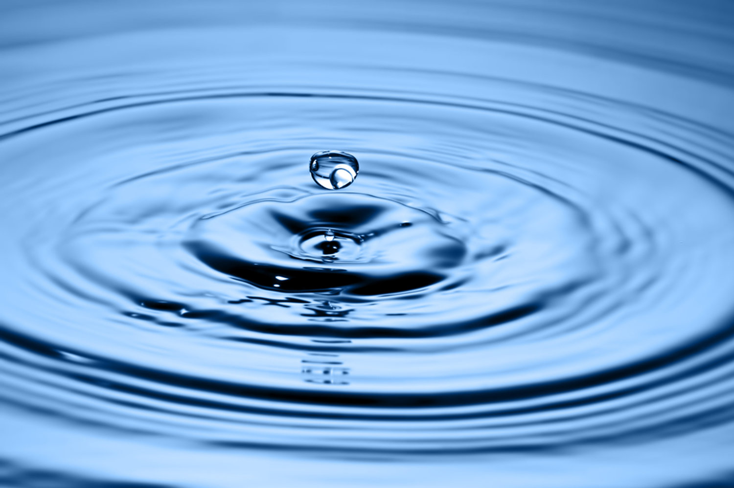 The Ripple Effect